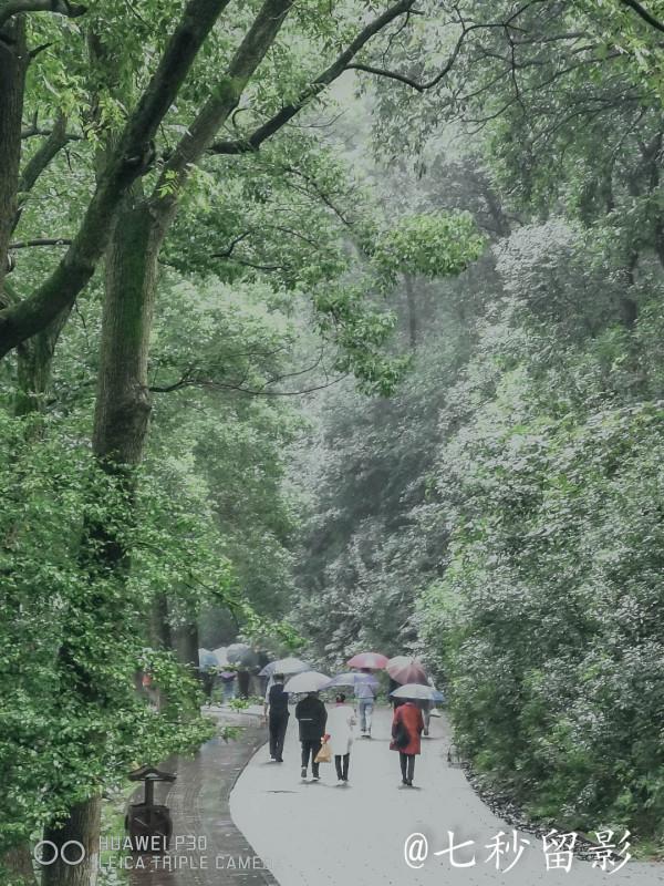國家5A景區古隆中 國家5A景區古隆中