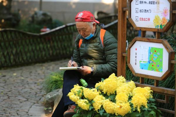 五彩斑斕！嘉定這裡美成這樣，還不快來