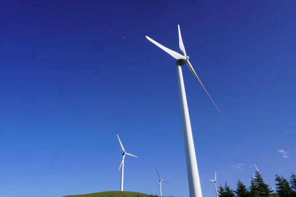 又是一年草原好時節，自駕承德千松壩森林公園