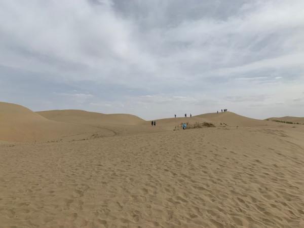 大美新疆（十）羅布人村