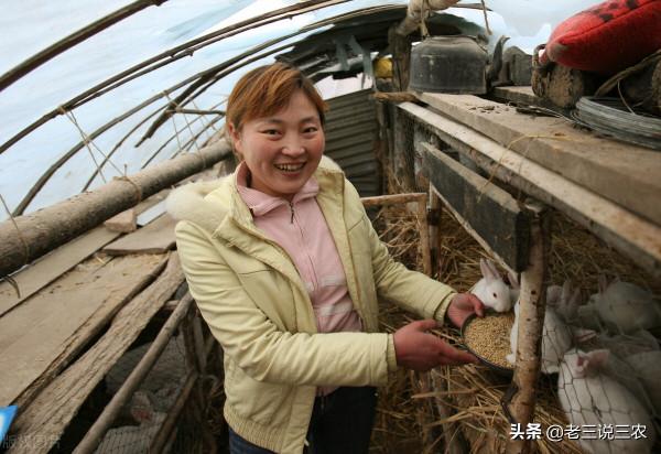 大蒜陳皮別再扔了，用在兔子上能治很多病，效果大，非常管用