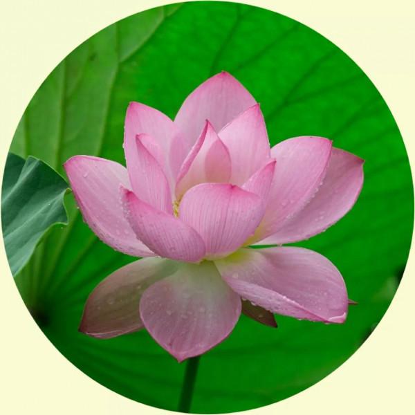 你的微信頭像該換了,美麗的風景,令人心曠神怡 你的微信頭像該換了,美麗的風景,令人心曠神怡