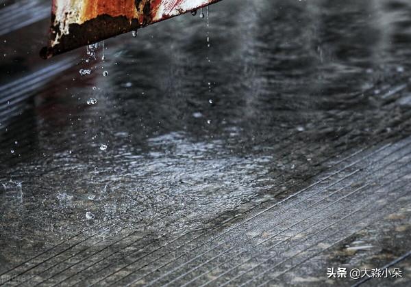 南方的雨！淅淅瀝瀝