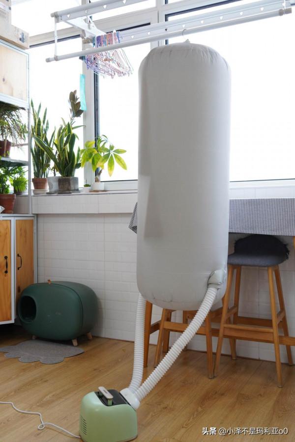 入秋後我就離不開了，這6款小家電真的很“哇塞”