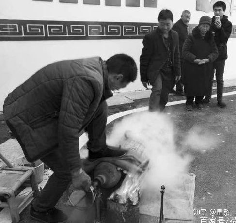 為什麼說&OpenCurlyDoubleQuote;萬有引力&rdquo;不正確？