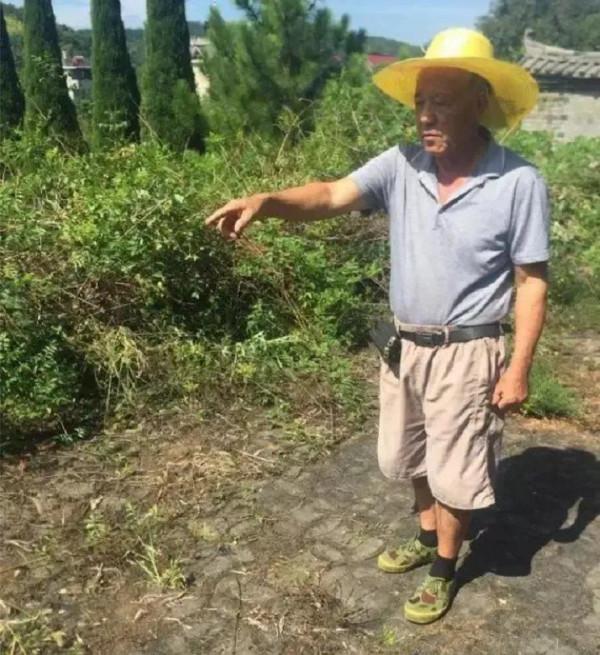 守墓人鄭榮良：40年提柴刀守護古墓，墓中36顆金頭引來無數盜墓賊