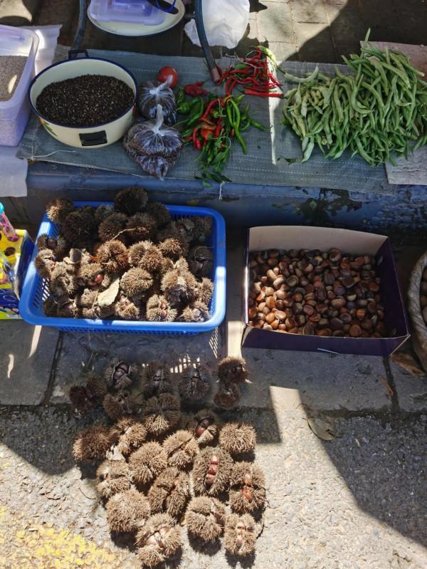 中秋假期近郊遊