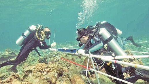 歷經30年艱辛打撈，價值3千億美金的寶藏終於現身，到底是啥寶貝