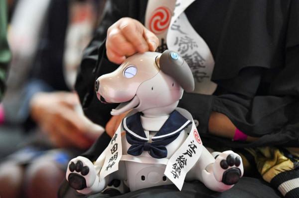 為機器狗“慶生” 為機器狗“慶生”