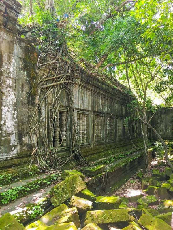 尋找失落的文明，隱蔽在叢林中的古剎，柬埔寨崩密列
