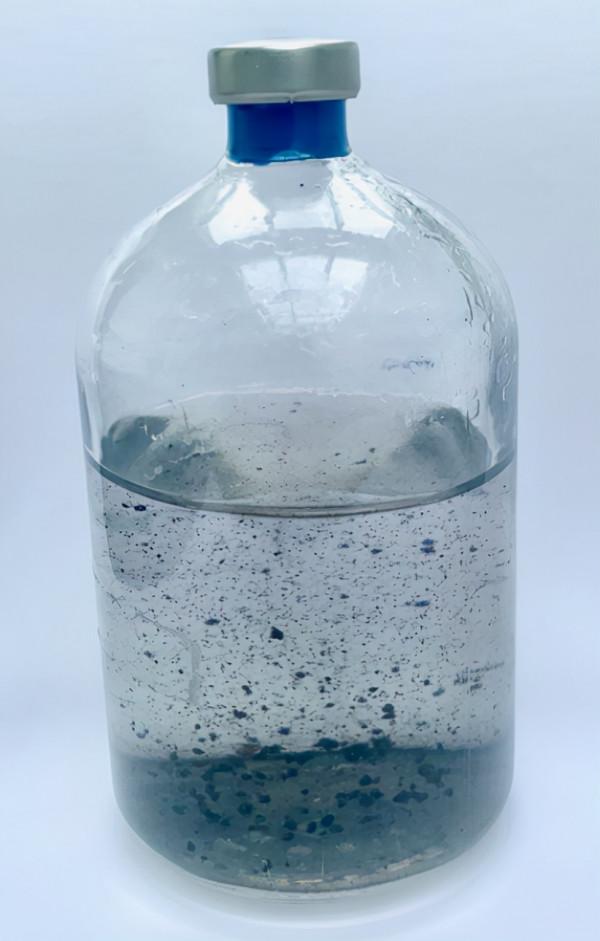 首次發現！這種微生物能直接生產純碳