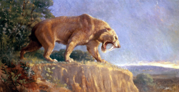 九大史前巨獸，告訴你，人類戰勝了什麼，才成為了地球的霸主