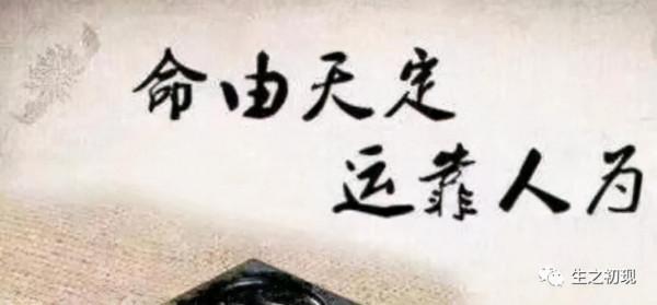 運,命的另一種安排 運,命的另一種安排