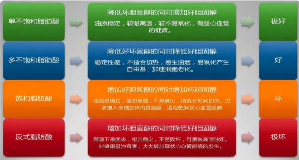 油脂攝入看“量”更看“質”，麗茲壓榨葵花籽油輔助科學減重