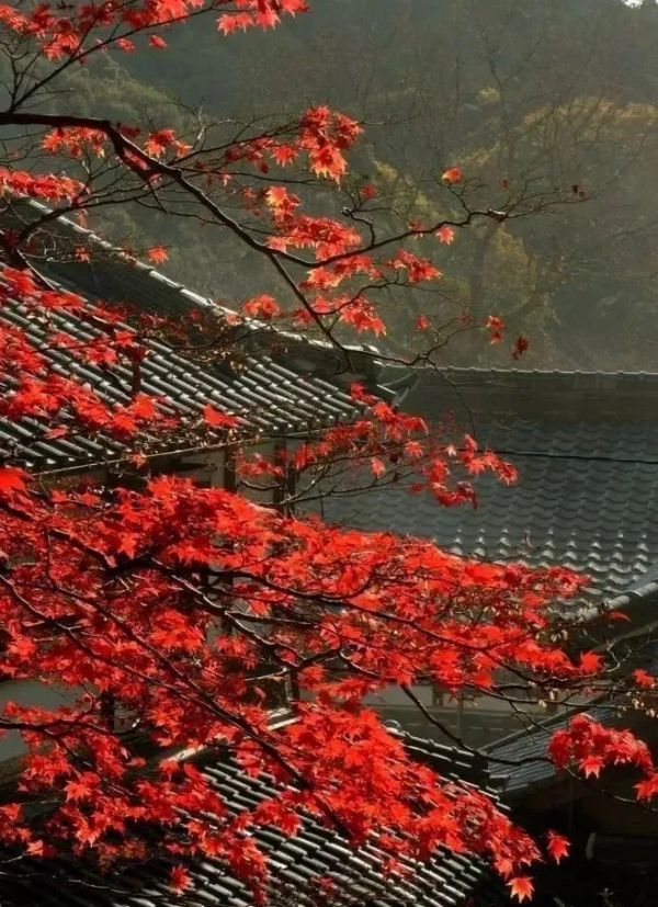 杜甫一首秋天的詩,字句皆律,譽為“古今七言律第一” 杜甫一首秋天的詩,字句皆律,譽為“古今七言律第一”