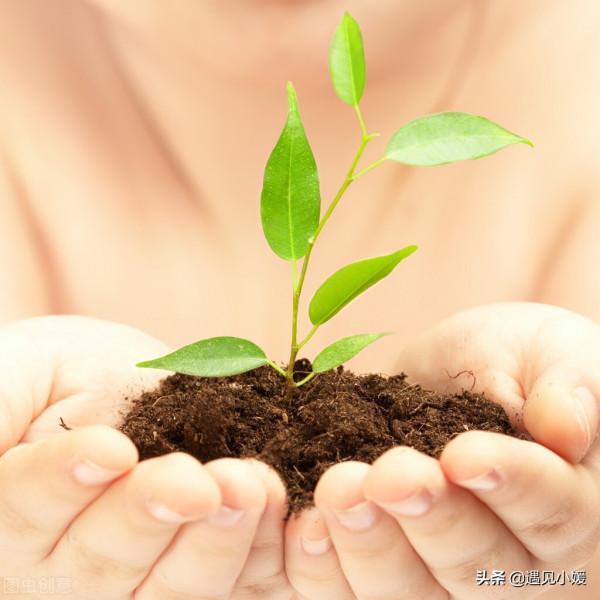 只要還活著,生活就要繼續下去 只要還活著,生活就要繼續下去