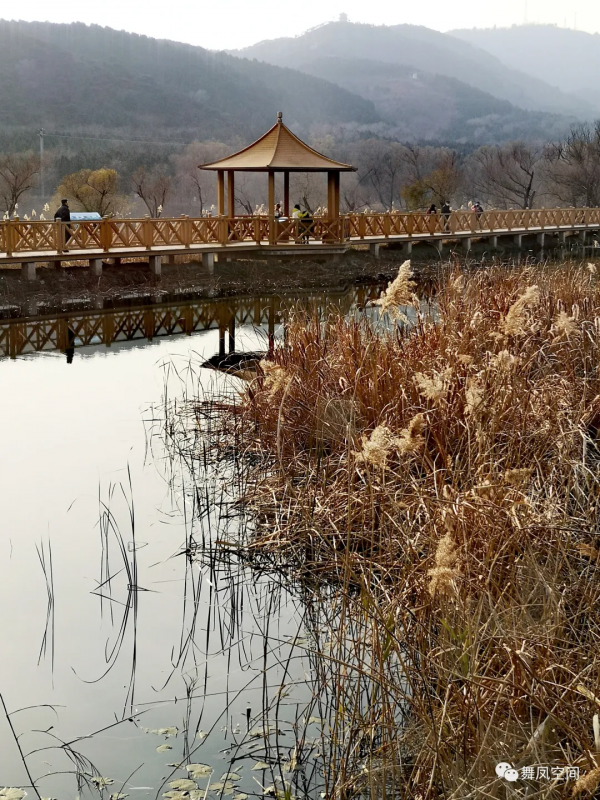 房山牛口峪溼地公園,沒想到風景如此優美 房山牛口峪溼地公園,沒想到風景如此優美