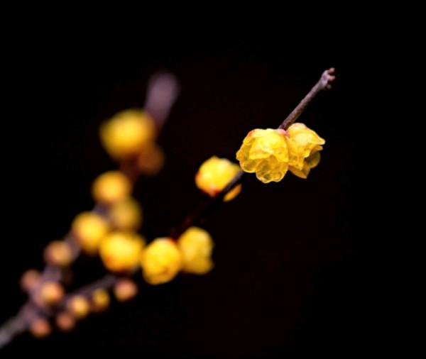 聰明過人，但容易抑鬱的星座：看透了一切，內心卻很孤獨