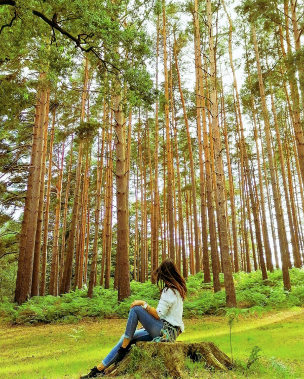 最新007來了!這10處絕世美景與邦德相互成就 最新007來了!這10處絕世美景與邦德相互成就