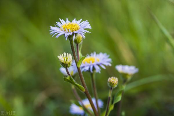 75歲大爺傾訴:給孫子3萬被外孫說太偏心,誰讓他不跟我一個姓的 75歲大爺傾訴:給孫子3萬被外孫說太偏心,誰讓他不跟我一個姓的