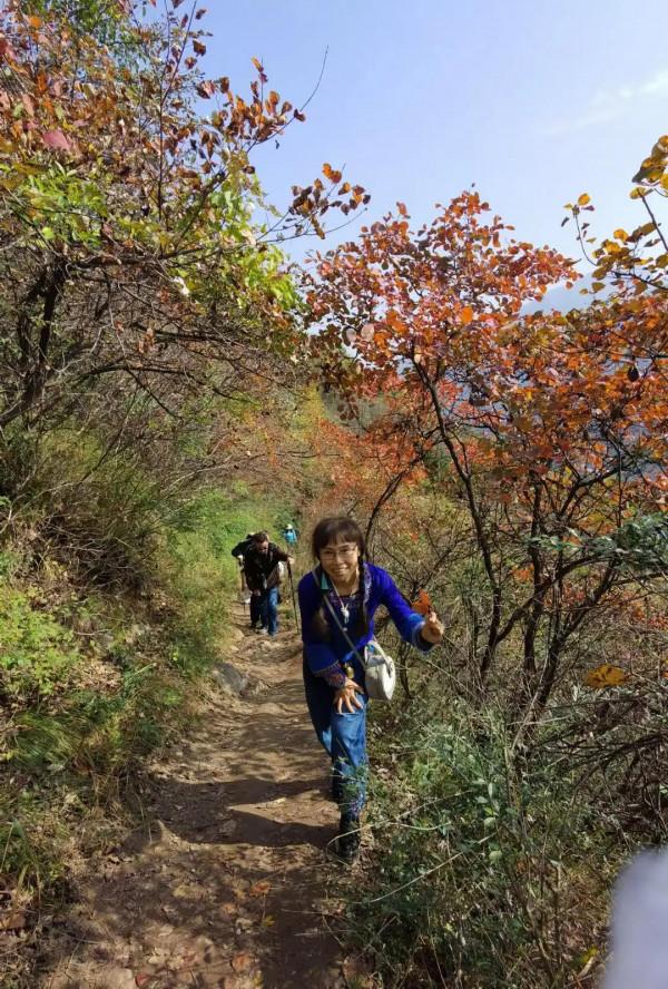 週末近郊遊秦嶺圭峰山之一