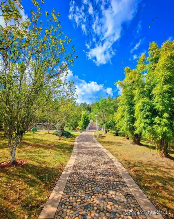 分享——雲南的“秋”