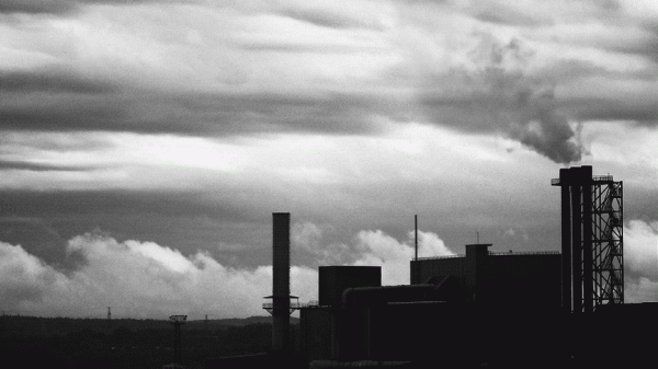 是基因變異，還是雜交產物？為什麼印度屢屢出現&OpenCurlyDoubleQuote;人臉山羊&rdquo;？