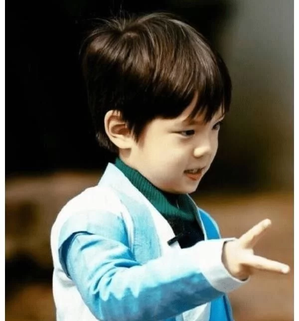 有種“基因”叫霍思燕兒子，幼時撞臉胡一統，如今模樣周正成男神