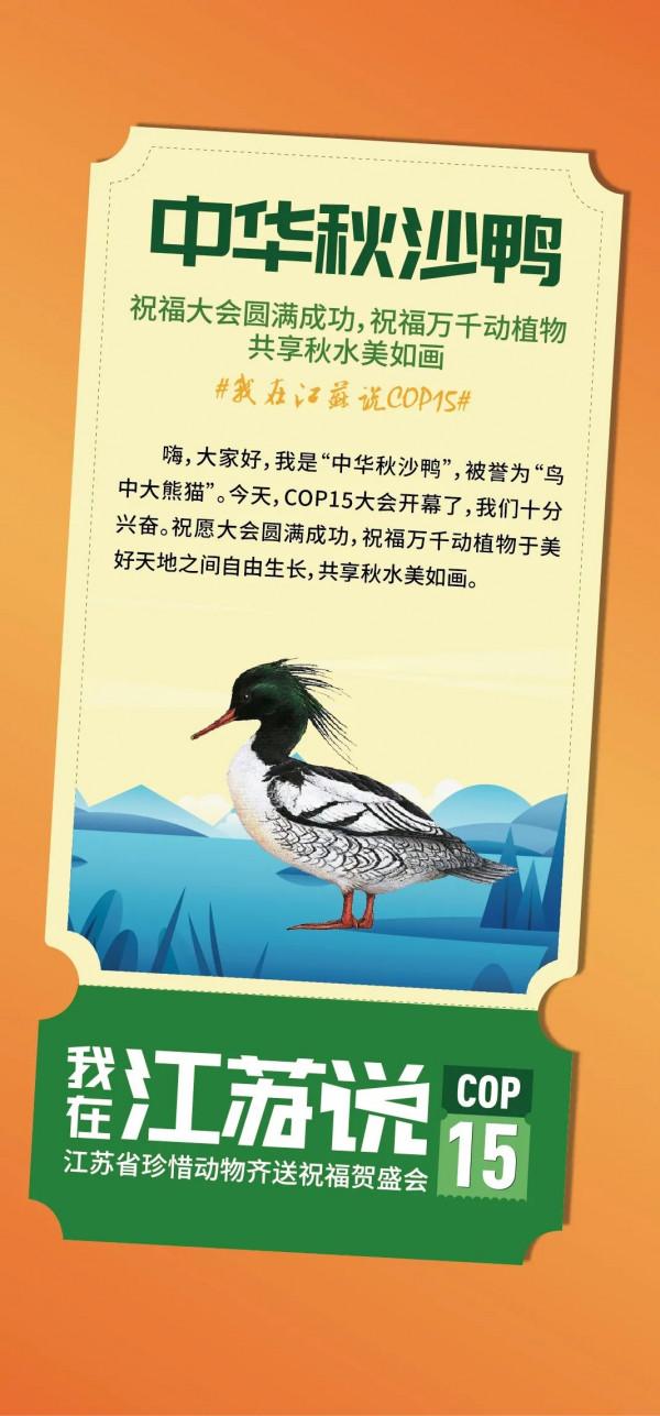 我在江蘇說COP15 | 江蘇省珍惜動物齊送祝福賀盛會