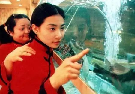 短道速滑、花樣游泳，這8個運動員後來進了娛樂圈，都迎來了第2春