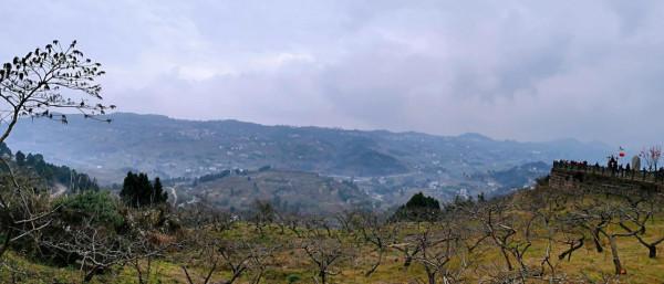 大年初三，龍泉驛觀景臺