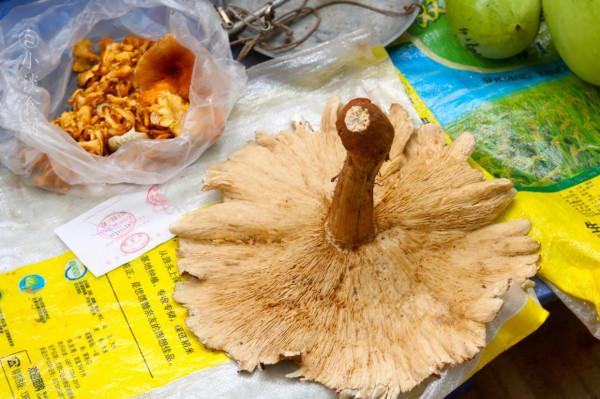 雲南菜市場有多“野”，逛了一圈，讓人眼界大開，幾乎都不認識