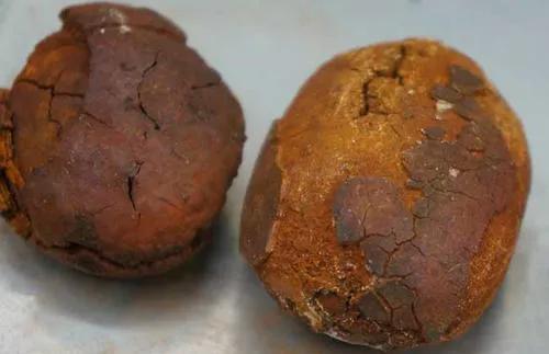 市場上比較緊俏的藥材有哪些?種植藥材,選對品種是關鍵 市場上比較緊俏的藥材有哪些?種植藥材,選對品種是關鍵