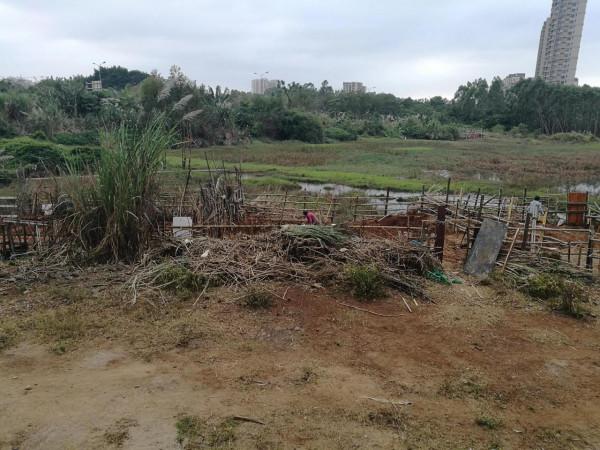 閒不住的候鳥（候鳥小菜園，提倡否？）