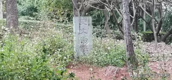 由原來墳區改建的水牛山公園