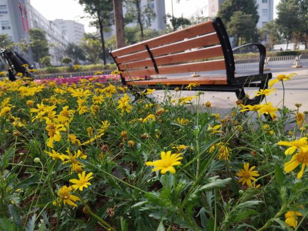 兩種生意勸你“搶著幹”，兩種生意勸你“不要幹”？