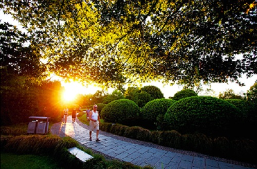 科學冬練很重要，預防腦病五知道