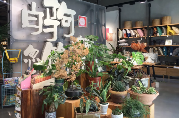 海淀北部這個超文藝的打卡地,藏不住了! 海淀北部這個超文藝的打卡地,藏不住了!