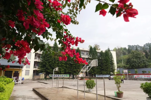 不尊重人性,不關注個性的教育不是真教育 不尊重人性,不關注個性的教育不是真教育