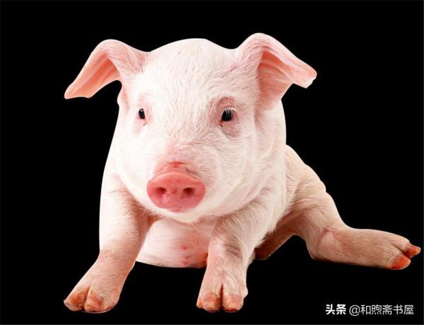 民間故事:皮匠經商返家,老鄉讓他先去酒樓,皮匠不聽葬送了性命 民間故事:皮匠經商返家,老鄉讓他先去酒樓,皮匠不聽葬送了性命