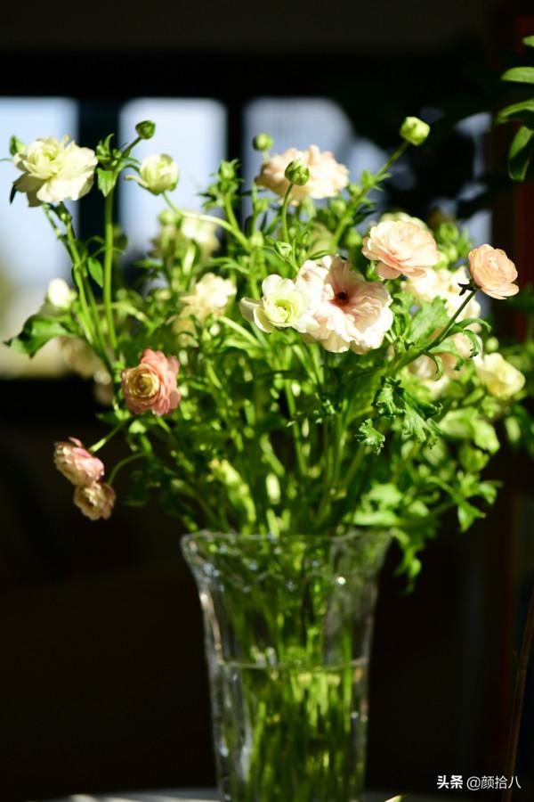 萬物起始，立春暖陽下，等待花園甦醒 &vert; 園丁