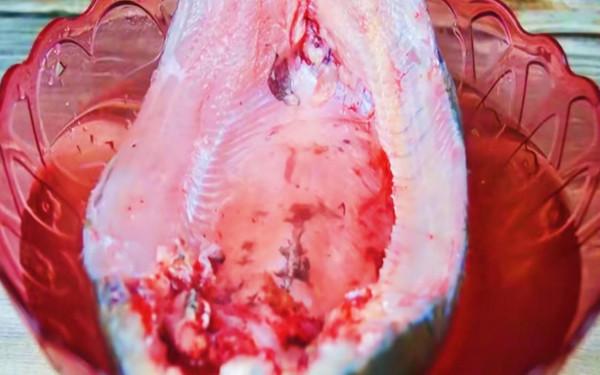 醃臘魚別隻放鹽了，從選魚醃魚到風乾，教你正宗做法，臘香味超足