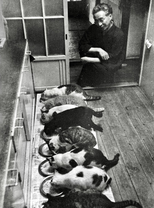 開槍自殺前，海明威留給世界的最後一句話：晚安，我的小貓咪