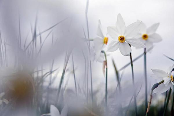 畫境烏克蘭，歷史亦悠遠。曾物阜民豐，惜故國不堪