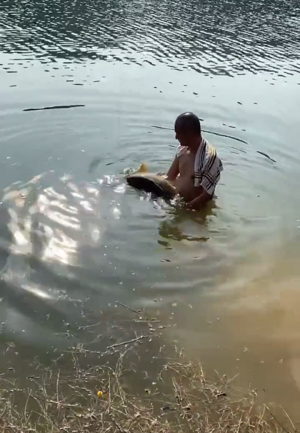 超過5斤就必須放生?重慶男子釣起20斤大鯉魚,轉眼就放回河裡 超過5斤就必須放生?重慶男子釣起20斤大鯉魚,轉眼就放回河裡