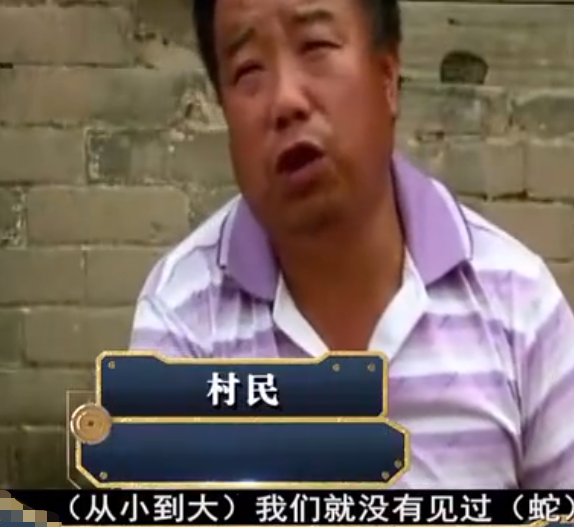 故事：山西農村遭蛇群攻擊，村民苦不堪言，專家來後蛇群消失不見