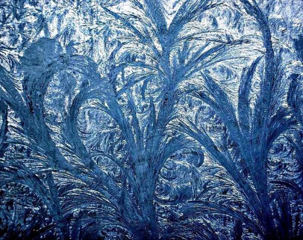 盛開在冬日窗欞上的冰窗花