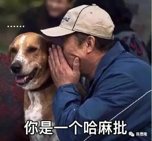 十分鐘看懂人的一生