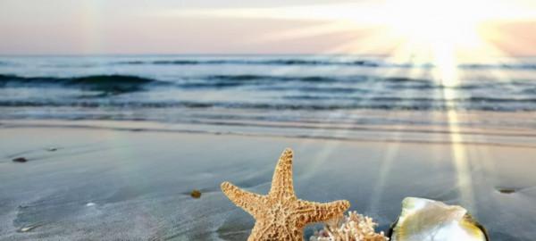 阿里-11%!我的中概又要計提虧損了 阿里-11%!我的中概又要計提虧損了