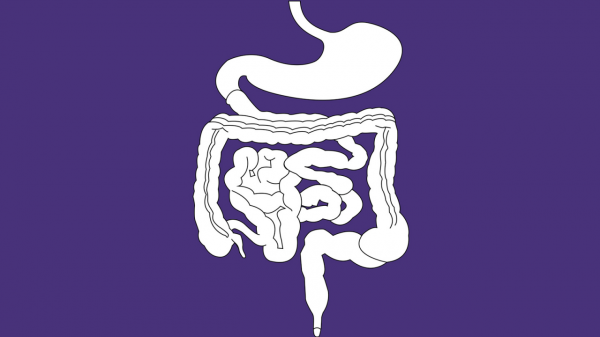 產業大事：LBP新秀融3950+萬元，探索AKK輔助免疫治療